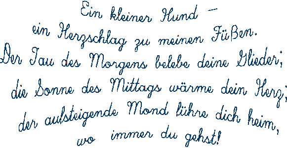 Ein kleiner Hund -
ein Herzschlag zu meinen F��en. 
Der Tau des Morgens belebe deine Glieder;  
die Sonne des Mittags w�rme dein Herz;
 der aufsteigende Mond f�hre dich heim, 
wo  immer du gehst!