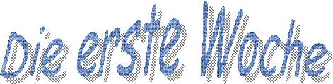 Die erste Woche  