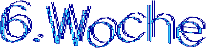 6.Woche 