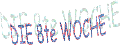 DIE 8te WOCHE