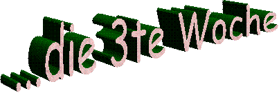 ...die 3te Woche